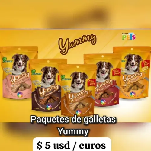 Galleticas Yummy's photo #1