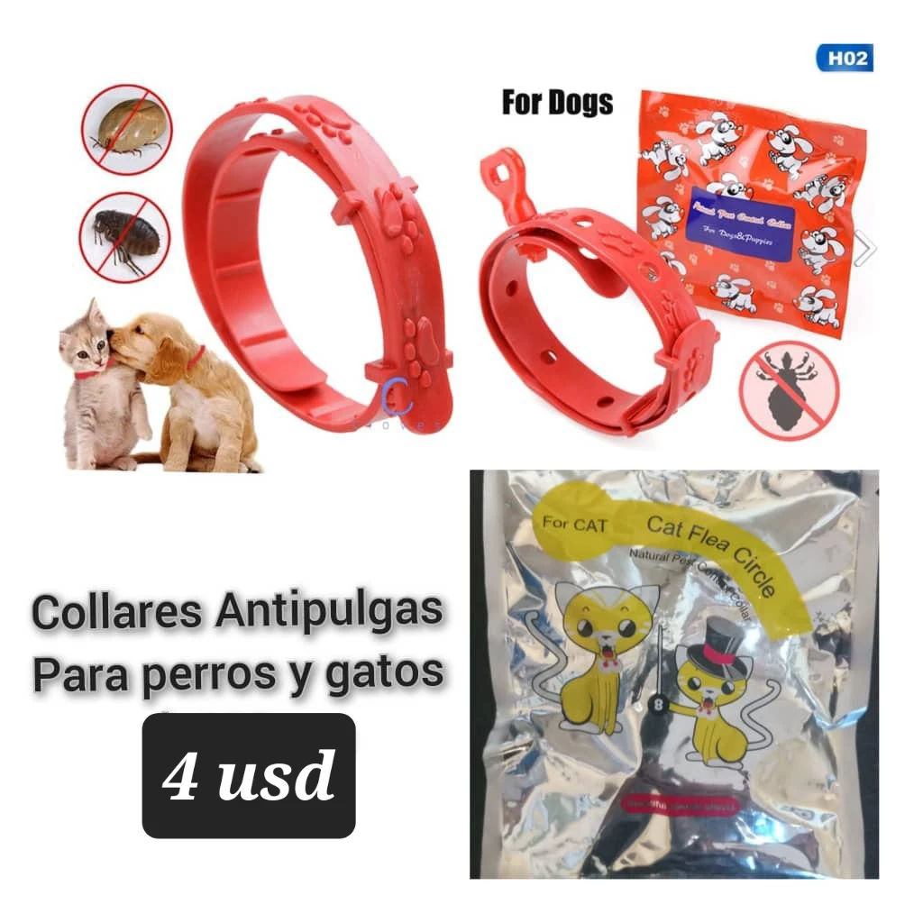 Collar Antipulgas para perros y gatos's foto | Tienda Masco'Shop |  BizneCubano
