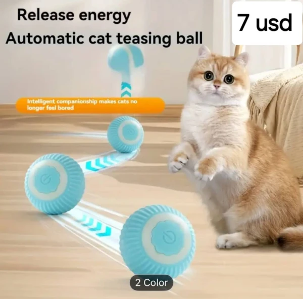 Pelota interactiva para gatos's foto | Tienda Masco'Shop |  BizneCubano