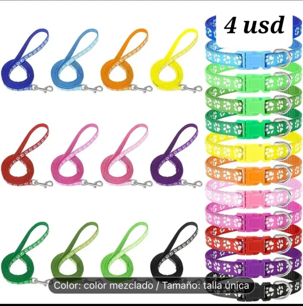 Collares con correa's foto | Tienda Masco'Shop |  BizneCubano