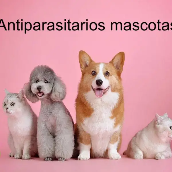 Imagen de Antiparasitario 