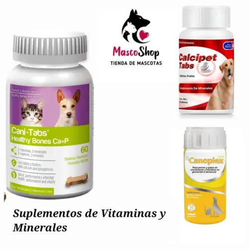 Imagen de Suplementos vitaminas y Minerales 